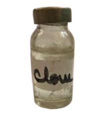 lavangam oil , 10 ml